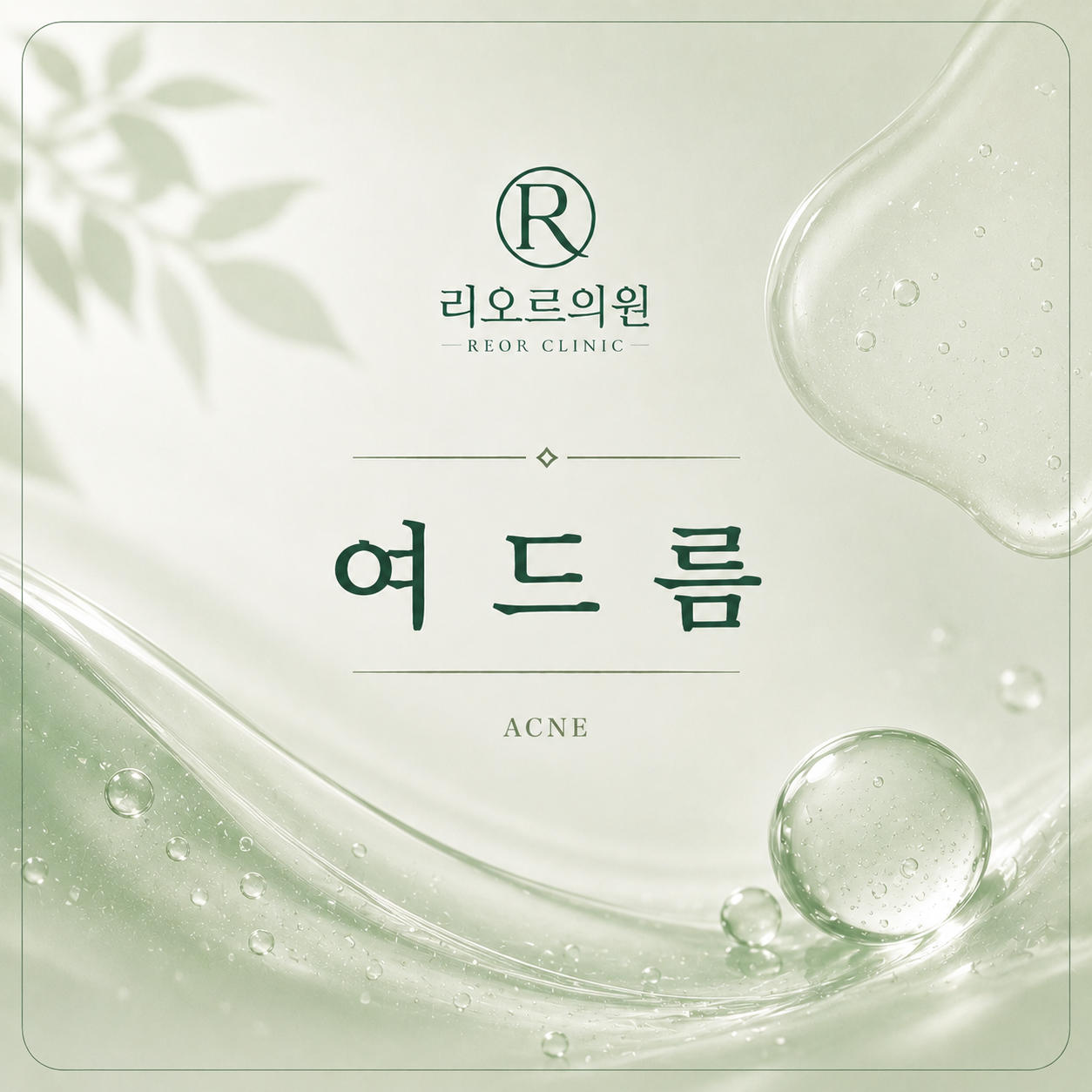 알라딘필 패키지
